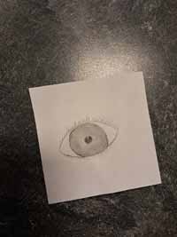 das auge