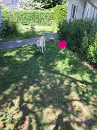 garten03