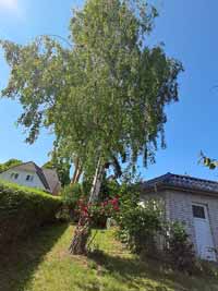 garten04