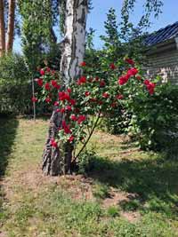 garten05