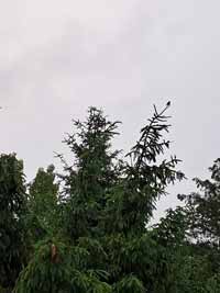garten06