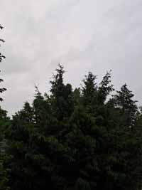 garten07