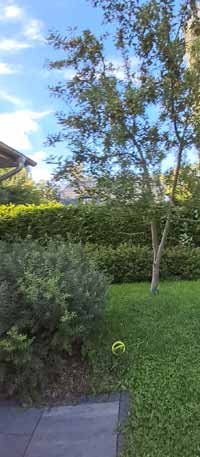 garten11