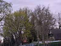 garten13