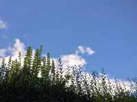 himmel01