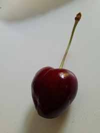 kirsche