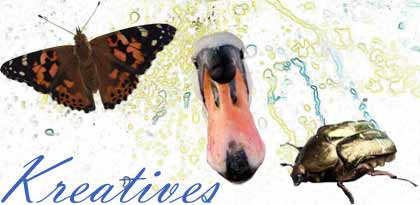Lilly´s Hobbyseite Kreatives