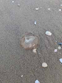 ostsee04