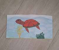 schildkroete